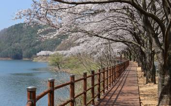 "사계절 즐길거리 한가득" 봉화군, 글로벌 관광도시로 도약